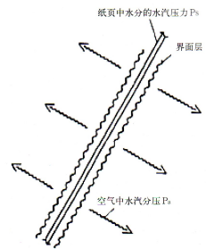 高速紙機(jī)旋轉(zhuǎn)接頭